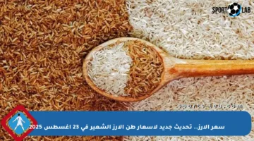 سعر الأرز.. تحديث جديد لأسعار طن الأرز الشعير في 23 أغسطس 2025